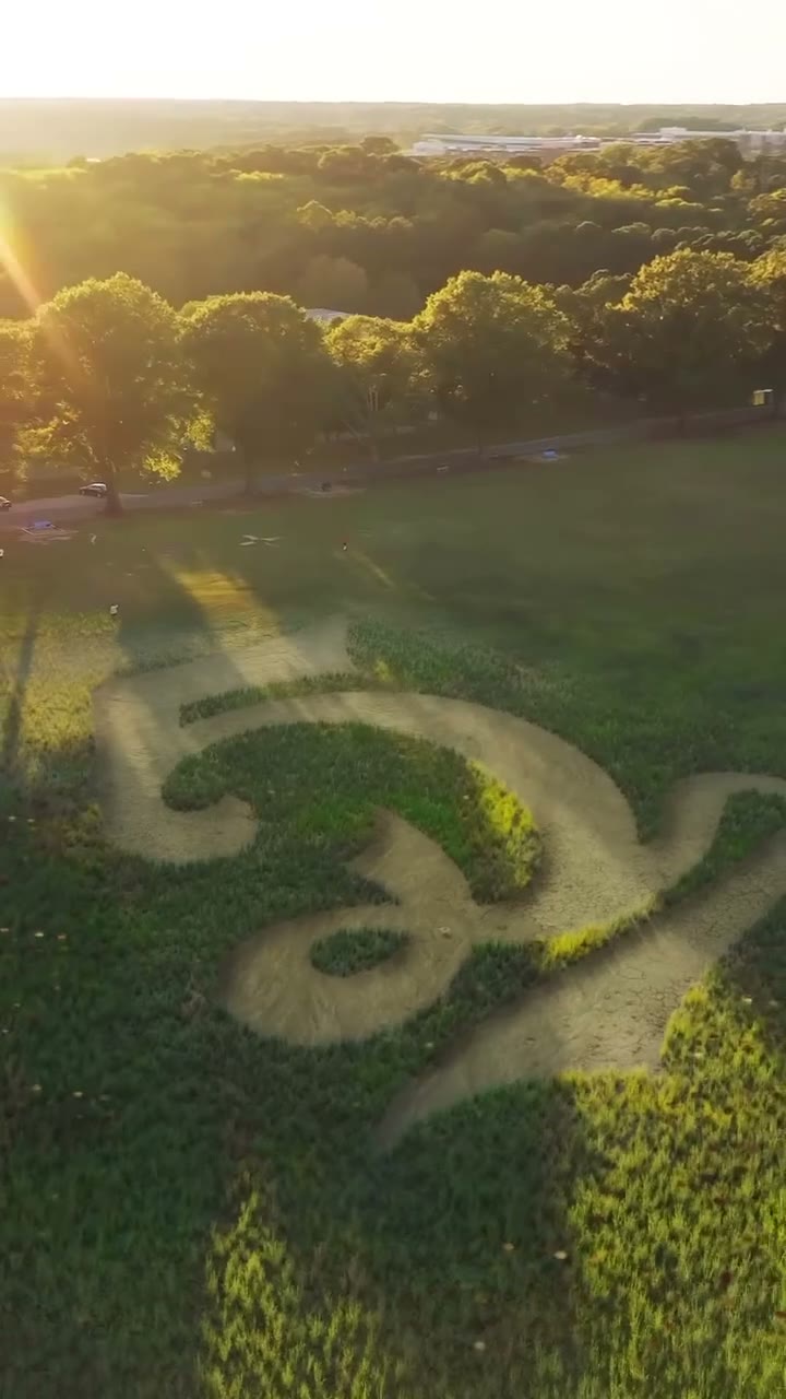 Dreamville festival grounds aerial